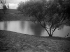 Farm Dam - Nangiloc