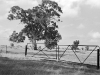 Gate - Mt Zero, Grampians, 2014