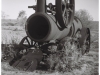 Steam - Mt Wood