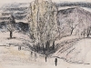 Poplars - Bungle Boori