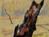 Burnt Tree 2